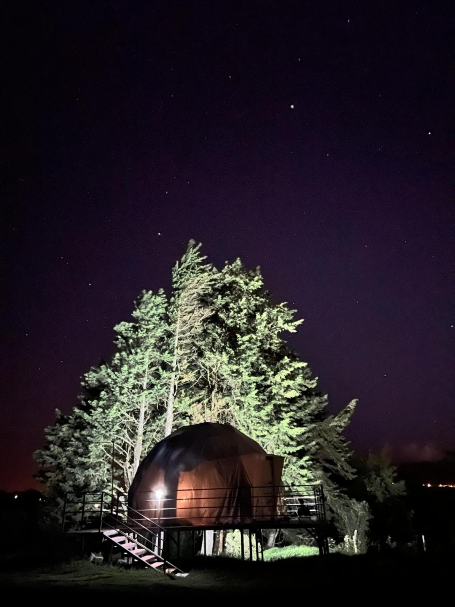 Fraijanes Green Noise Glamping מראה חיצוני תמונה